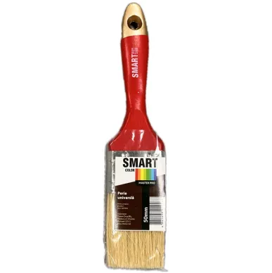 Paint brush universal 20 mm Master pro Smart Color