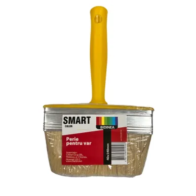 Wide Brush 30*100 with Plastic Handle Smart Color